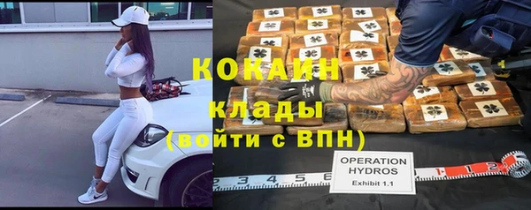 ешки Алзамай