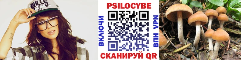 Галлюциногенные грибы ЛСД  дарнет шоп  Тверь 