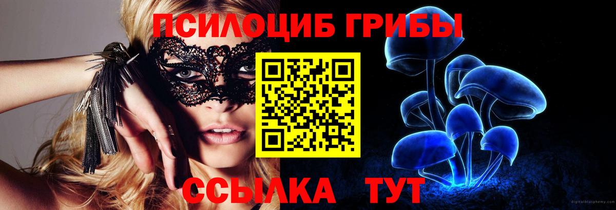 Тверь  Псилоцибиновые грибы Psilocybine cubensis  Вход с VPN  Галлюциногенные грибы MAGIC MUSHROOMS 